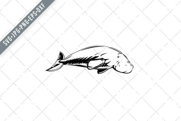 Download Dugong Medium-Sized Marine Mammal&nbsp; - Mammal Collection